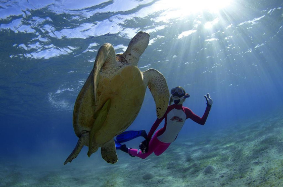 Scuba diving Marsa Alam