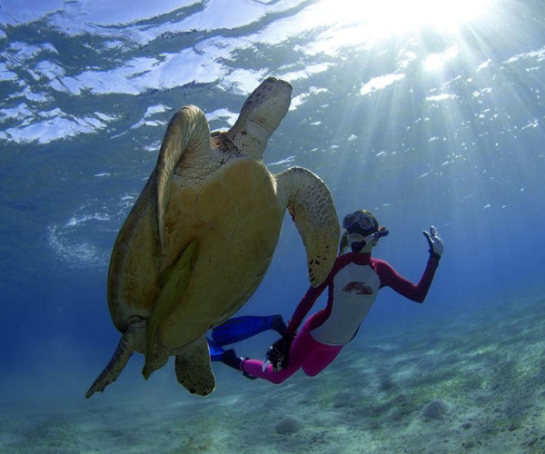 Scuba diving Marsa Alam